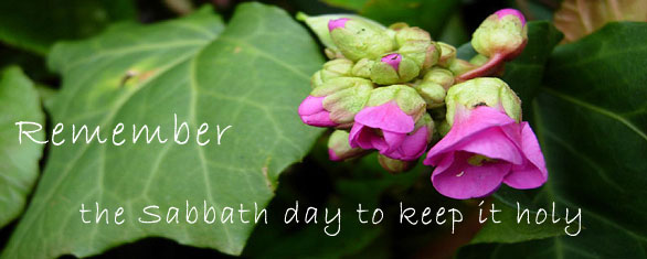 sabbath_day_banner