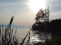 sabbath_delight_4